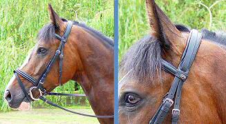 Comfort bridle in quality English leather  - click for close-up
