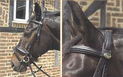 Comfort bridle in quality German leather