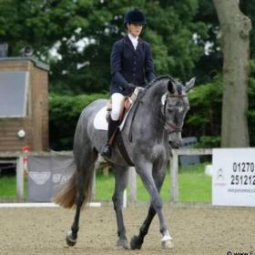 See Dressage Horses for sale