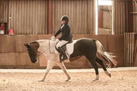 For sale: Cavalier Cork Rebel