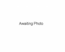 Dressage Horses for sale Dressage Horses for sale