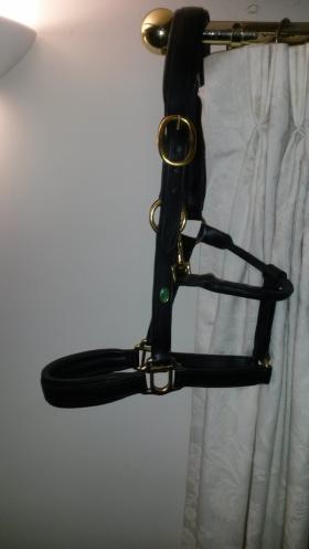 For sale: Leather Headcollar