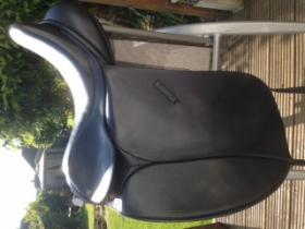Dressage Saddles for sale