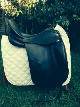 Dressage Saddles for sale