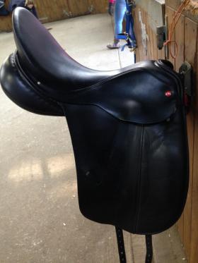 Dressage Saddles for sale
