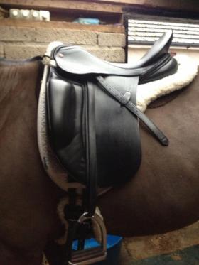Dressage Saddles for sale
