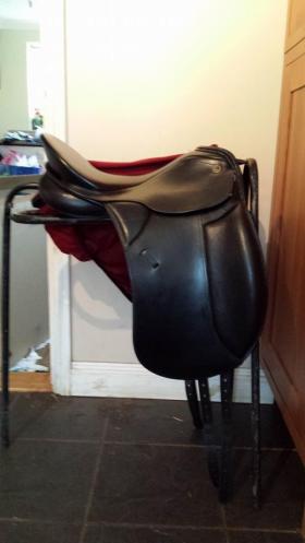 Dressage Saddles for sale