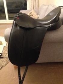 Dressage Saddles for sale