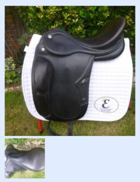 Dressage Saddles for sale