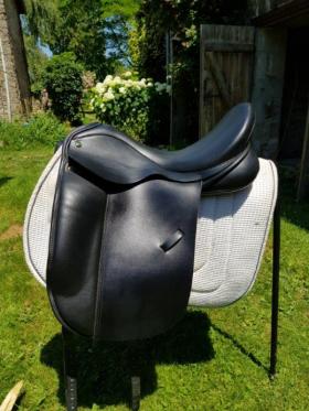 Dressage Saddles for sale