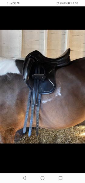 For sale: Dressage saddle